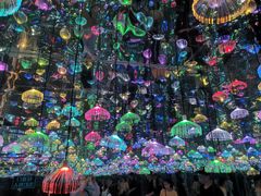 -上海梵高星空艺术馆(南京路旗舰店)