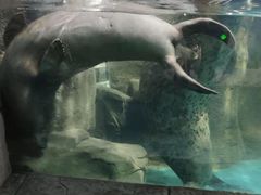 -嘉兴海底世界