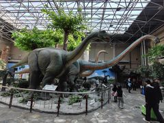 -国家自然博物馆