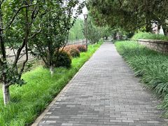 -元大都城垣遗址公园