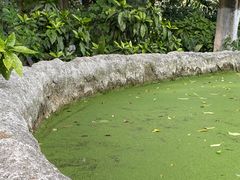 -成都市活水公园