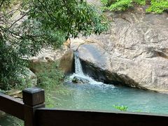 -广州白江湖森林公园