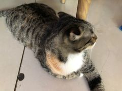 -平行世界·猫咖(首经贸店)