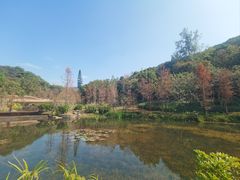 -云溪植物园