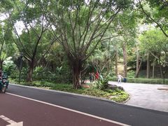 -南宁南湖公园