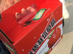 -小鱼草莓采摘园农家乐·小鱼餐厅