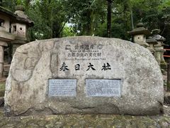 -奈良公园