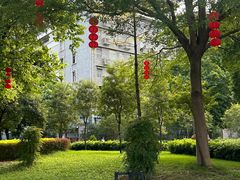 -荔湾湖公园