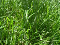 -天鹅湖体育公园