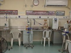 -动物缘宠物医院·骨科·猫科(西二环店)