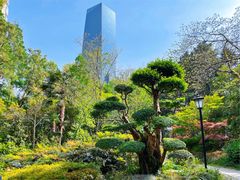 -中山公园