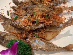 -金悦轩海鲜酒家(银河店)