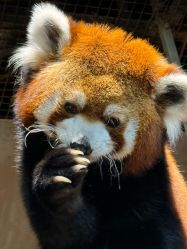 -Zoolung Zoolung动物主题公园(海信广场店)