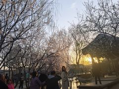 -春风习习