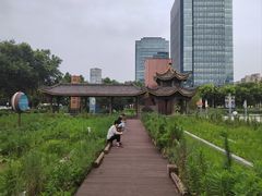 -证大喜玛拉雅中心