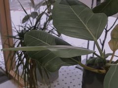 -COTTON CAFE(德信·中外公寓店)