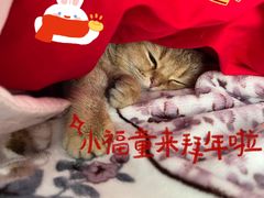 -盒马鲜生(悦峰店)