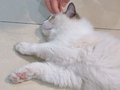 -Best U照相馆证件照·外拍(五角场店)