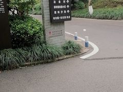 -重庆彩云湖湿地公园