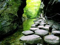 -牛背梁国家森林公园