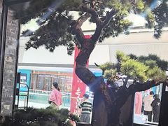 -绿茶餐厅(松江万达店)