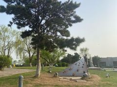 -莫子山公园