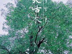 -龙华寺