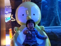 -成都浩海立方海洋公园