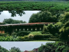 -中国茶叶博物馆(双峰馆区)