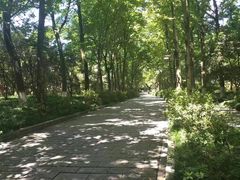 -杭州植物园