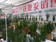 -秦美花卉(天朗·莱茵小城2期店)