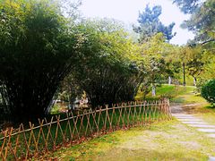 -范蠡湖公园