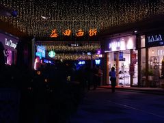 -刘姐啤酒鱼民族演艺餐厅(西街总店)