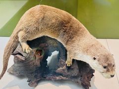 -国家自然博物馆