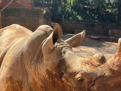 -昆明动物园