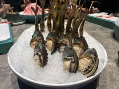 -1718海鲜姿造(苏宁宴请臻选店)