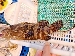 -碧海银沙海鲜餐厅(恒大海上威尼斯店)