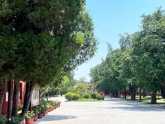 -北京市劳动人民文化宫(太庙)
