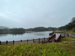 -海南热带雨林国家公园吊罗山景区