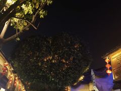 -延福橄榄(三坊七巷店)