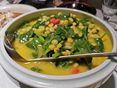 浓汤豆瓣烩豌豆尖-天和晟烤鸭店(玉泉西街店)