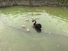 -无锡动物园·太湖欢乐园