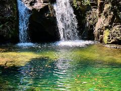 -鼎湖山风景区