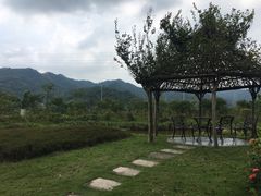 -美的鹭湖探索王国