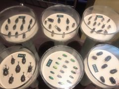 -陕西自然博物馆