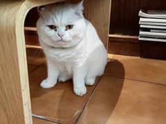 -彳亍咖啡·这里(水湾路店)