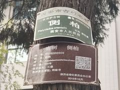 -罔极寺