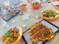 -向外鱼乐·土菜·虹鳟鱼