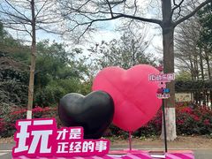 -盈香心动乐园