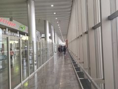 -谢列梅捷沃国际机场